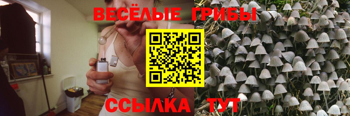 Кушва  Галлюциногенные грибы Psilocybe  Галлюциногенные грибы мицелий  Вход с VPN 
